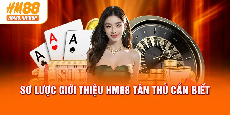 Sơ lược giới thiệu HM88 tân thủ cần biết